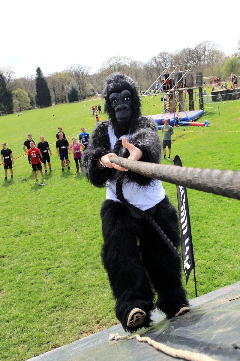 Our obstacles will test your grip, balance, strength, and your nerves! 
Can you manage our finishing section after 10-12k of trails, lakes, and obstacles?
forestwarrior.co.uk