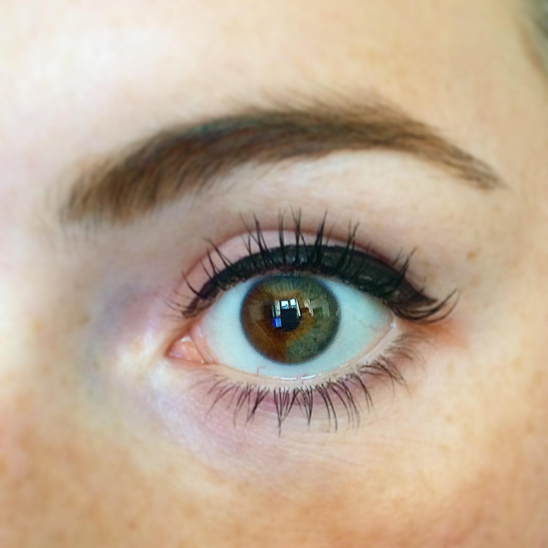 Twitter पर هوميروس Segmental Heterochromia حالة نادرة تدعى بتغاير لون القزحيتين حيث تحتوي قزحيه العين على لونين مختلفين في آن واحد Https T Co Xl29wcxjca