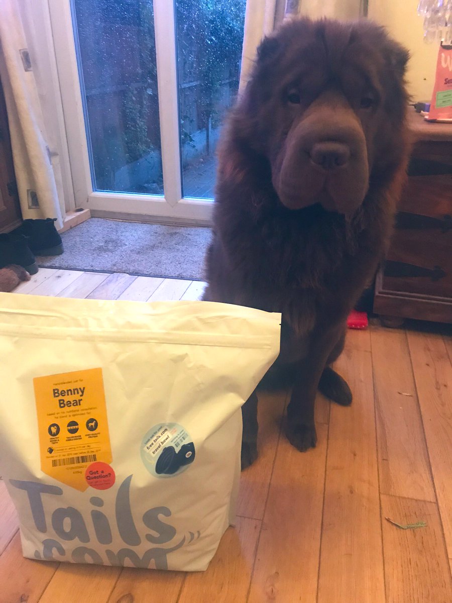 SusieTime's tweet photo. Soooo itβs been a few days in and Benny Bear and Bertie Bear are enjoying their delivery! The excitement was unreal when everything arrived ha @tailsdogfood π»π» #realbears #loveoffood https://t.co/S6hBgM9TVL