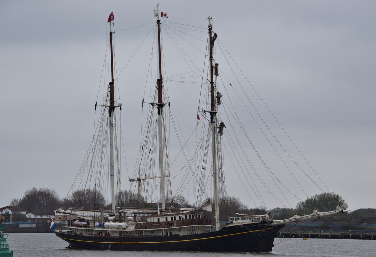 AJBC_1's tweet photo. #TallShip 🇳🇱#GuldenLeeuw ⛵️ arrives on the #Thames in #London towards the end of a 9-month @classafloat #SchoolShip voyage - going to @CRTSouthEast #WestIndiaDock where she will be open to visitors tomorrow (Sun 07/04) 3-5pm #dlr_blog https://t.co/HrUYF72sJ2