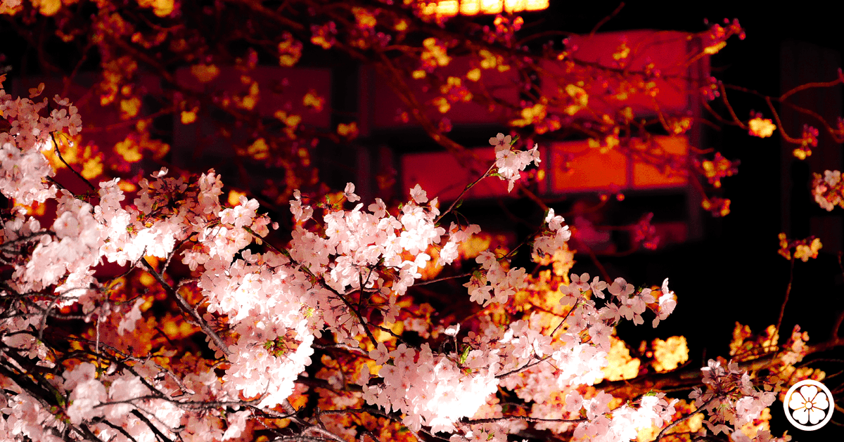 「今年も桜は美しかった? 」|秋赤音のイラスト