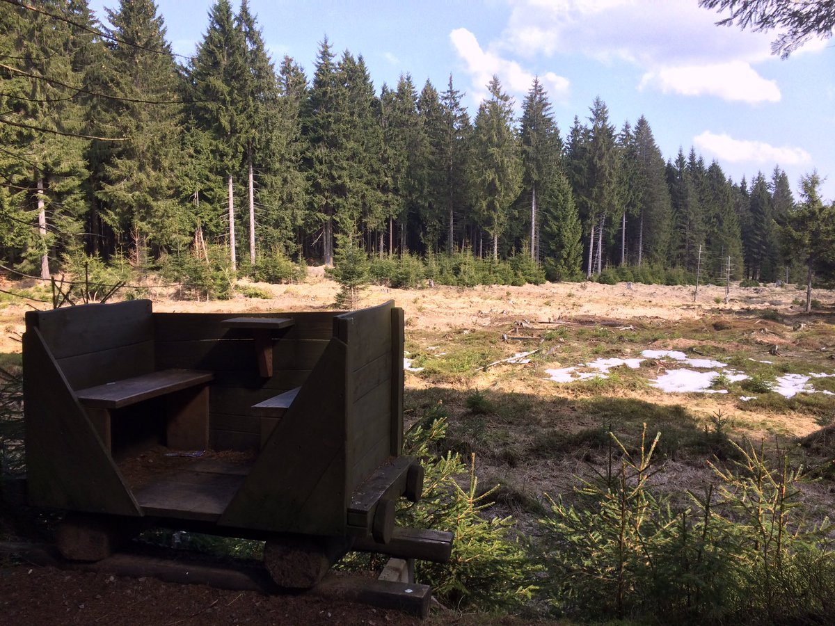 Reinhard Fuchs tweet media