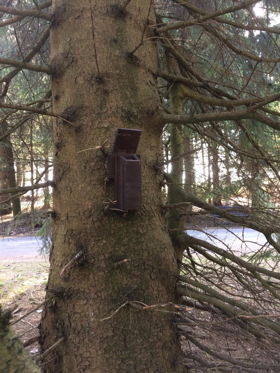 Reinhard Fuchs tweet media