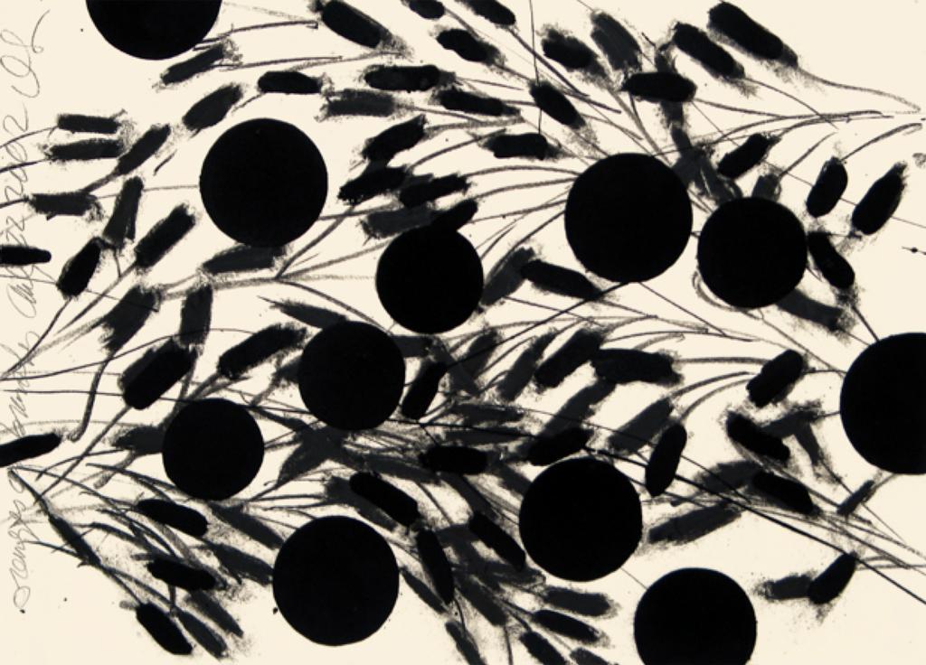 RYAN LEE Gallery tweet media