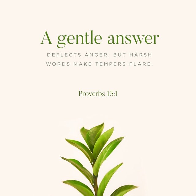 quillin_w's tweet photo. A gentle answer turns away wrath, but a harsh word stirs up anger.
Proverbs 15:1 NIV
https://t.co/B1lUpTRZVO https://t.co/Tz2ME3waP7