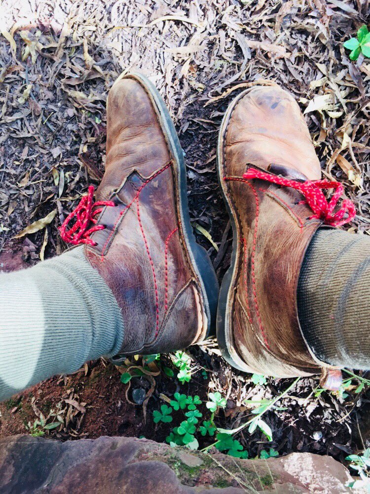 celmoosa's tweet photo. Day well spent.
Hennops Hiking trail
#TheFittour. https://t.co/vC9ULWqeJi