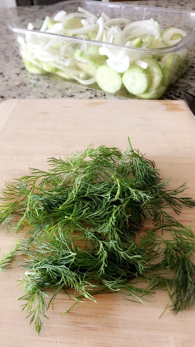 JamieVraspir's tweet photo. The Rill Dill🥒😎
#plantbased #SaturdayKitchen #vegan https://t.co/kVNLXpg4uq