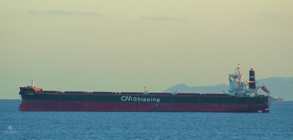 CK BLUEBELL 🇰🇷 

#nautical #bulkcarrier #colours #anchoring #algecirasbay #Shipping #shipsinpics