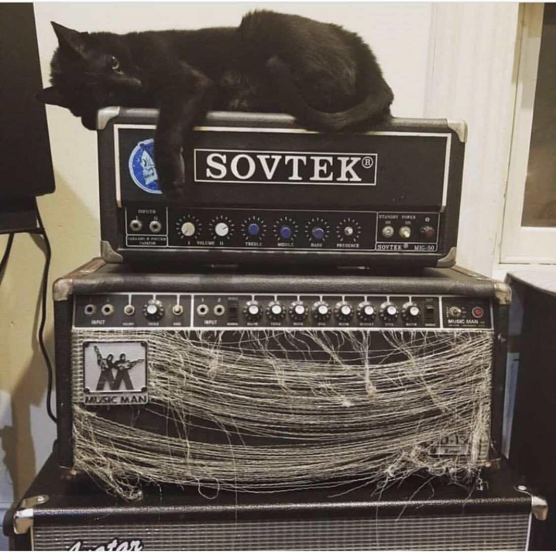 catsonamps's tweet image. Good morning and happy Caturday! Thank you @daveklyman @sovtekamplifiers @music_man @ernieball this one always make me 😻 #ernieball #musicman #sovtek #caturday #catsonamps MERHQ.Net