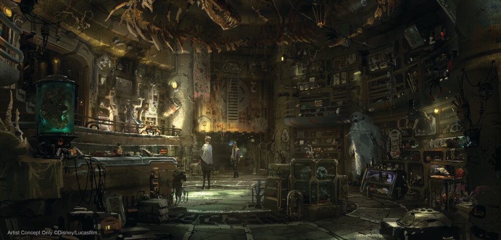 OutsideTheMagic tweet picture