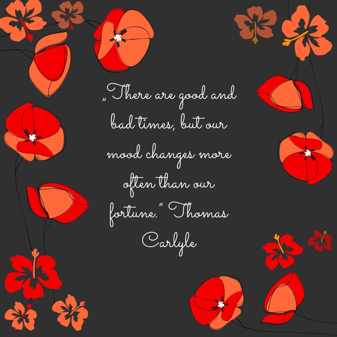 InYourProgress's tweet image. Feeling good brings more happy and appreciated moment into our lives!

#quote #motivation #happiness