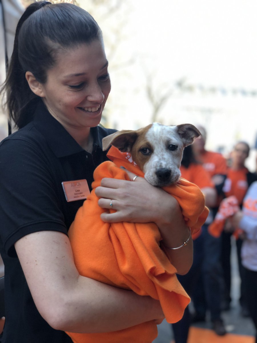 ASPCAPro's tweet photo. This past week, the @ASPCA celebrated the arrival of the 100,000th animal to be transported through our Animal Relocation Program! Thank you to our wonderful partners for this event, @ochsms and The Augusta Regional SPCA! https://t.co/xZibjm3EdE