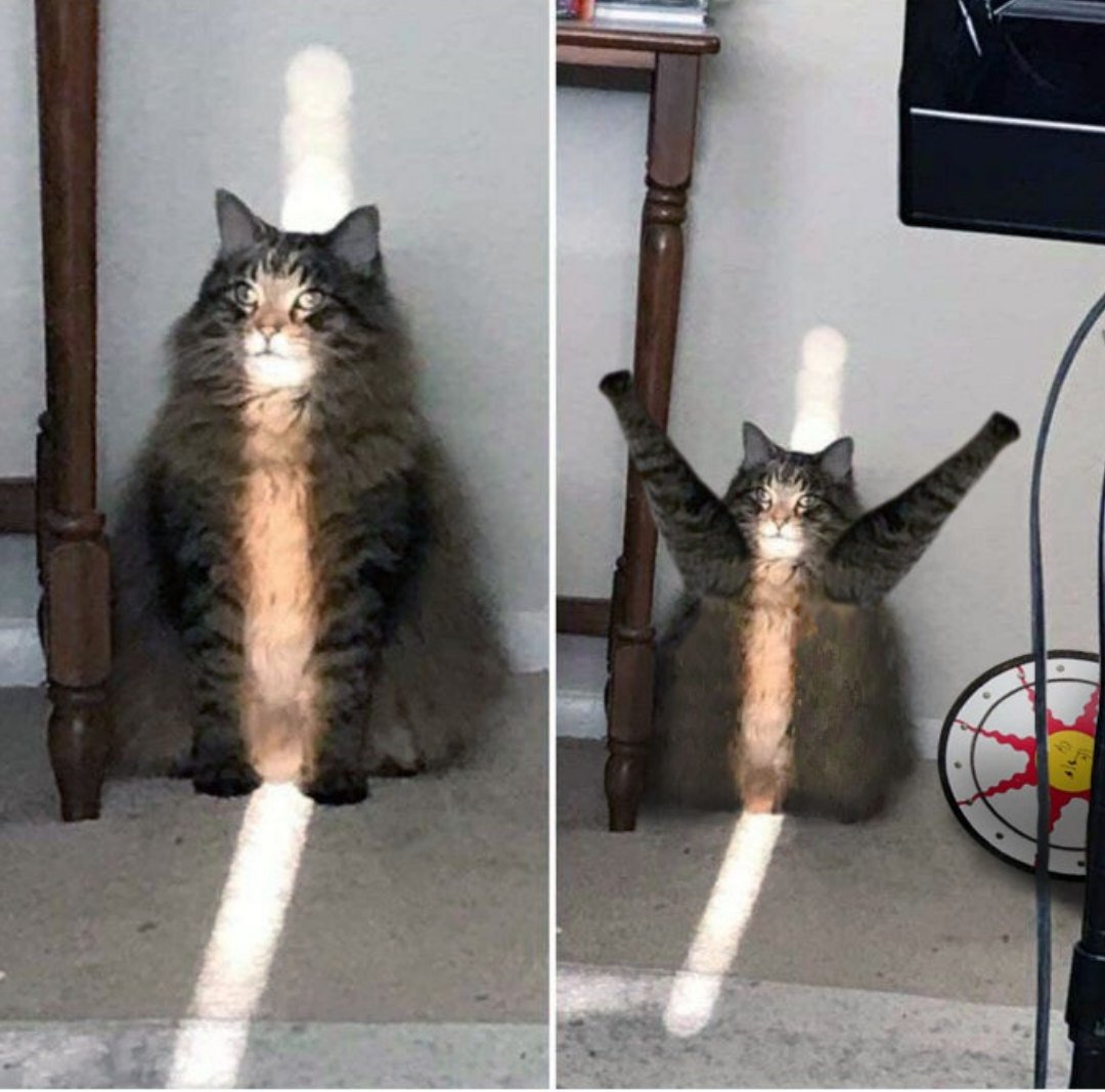 D3eYYGcW0AE_D1y?format=jpg&name=medium