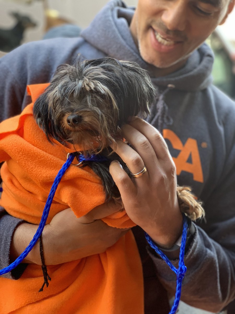 ASPCAPro's tweet photo. This past week, the @ASPCA celebrated the arrival of the 100,000th animal to be transported through our Animal Relocation Program! Thank you to our wonderful partners for this event, @ochsms and The Augusta Regional SPCA! https://t.co/xZibjm3EdE