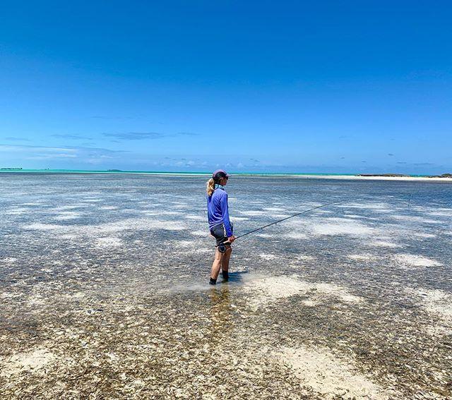 RockingOutdoors's tweet photo. On the hunt.  @steph_raleigh_la searches the incoming tide for the first bonefish.  South Andros, Bahamas.
.
.
.
#saltwaterfishing #bonefishing #flyfishing #andros #bahamas #outdoors #neverstop #fitness #fitnessover50 @swainscayresort @yellowdogflyfishing https://t.co/t6FTqbQlWL https://t.co/b9TrU2HTVF
