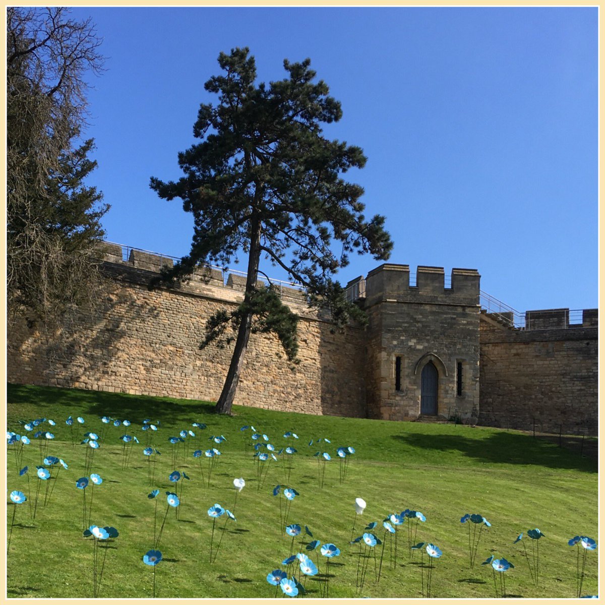 TWCareHomes's tweet photo. Forget-Me-Not! 💙

Tanglewood Care Homes are delighted to be a sponsor for the ‘Forget-Me-Not’ appeal in aid of St Barnabas Hospice.

Planting of the hand-forged flowers, has begun, under the watchful eye of King George III.

In loving memory …🖤💜💙💜🖤

@StBarnabasLinc https://t.co/3TNrXIjptr
