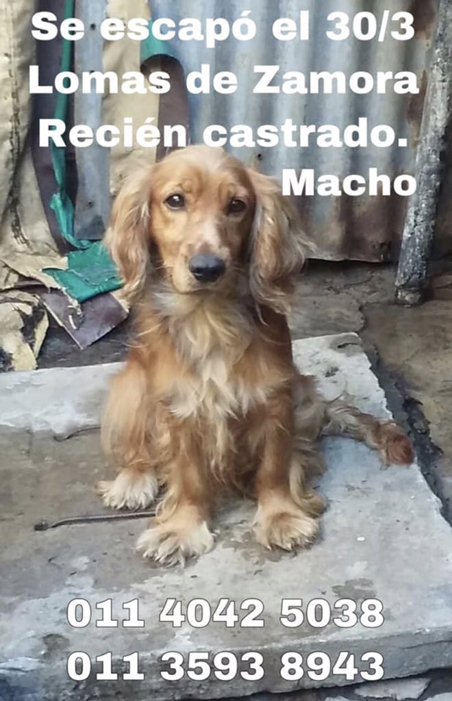 narechacra tweet picture