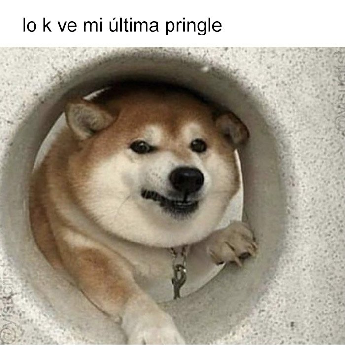 yisucrist's tweet photo. ya t tengo pekeña hijueputa https://t.co/jzvTo8YGad