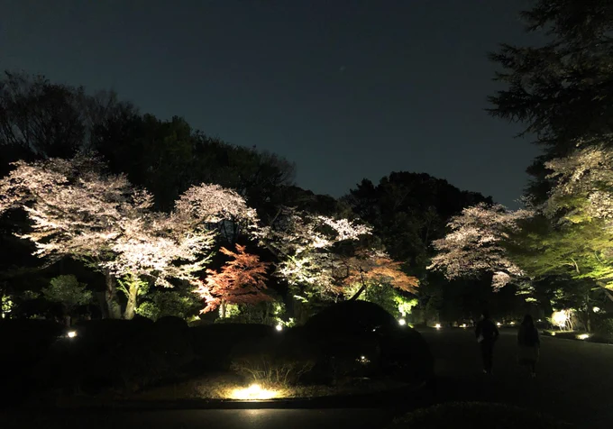 岡上淑子展滑り込めた!庭園美術館、夜間も開いてる日だったので、夜桜も見れて得した気持ちだ(でも庭はマジで真っ暗でくらやみまつりだった) 