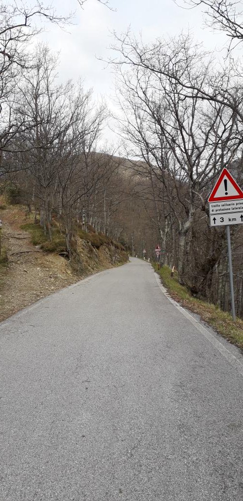 rptmtt's tweet photo. #raduno #rst #tomcc #ValFontanabuona #PassoRomaggi #TriumphistiGrifoni #OnTheRoad https://t.co/TShjUJ5Yyl