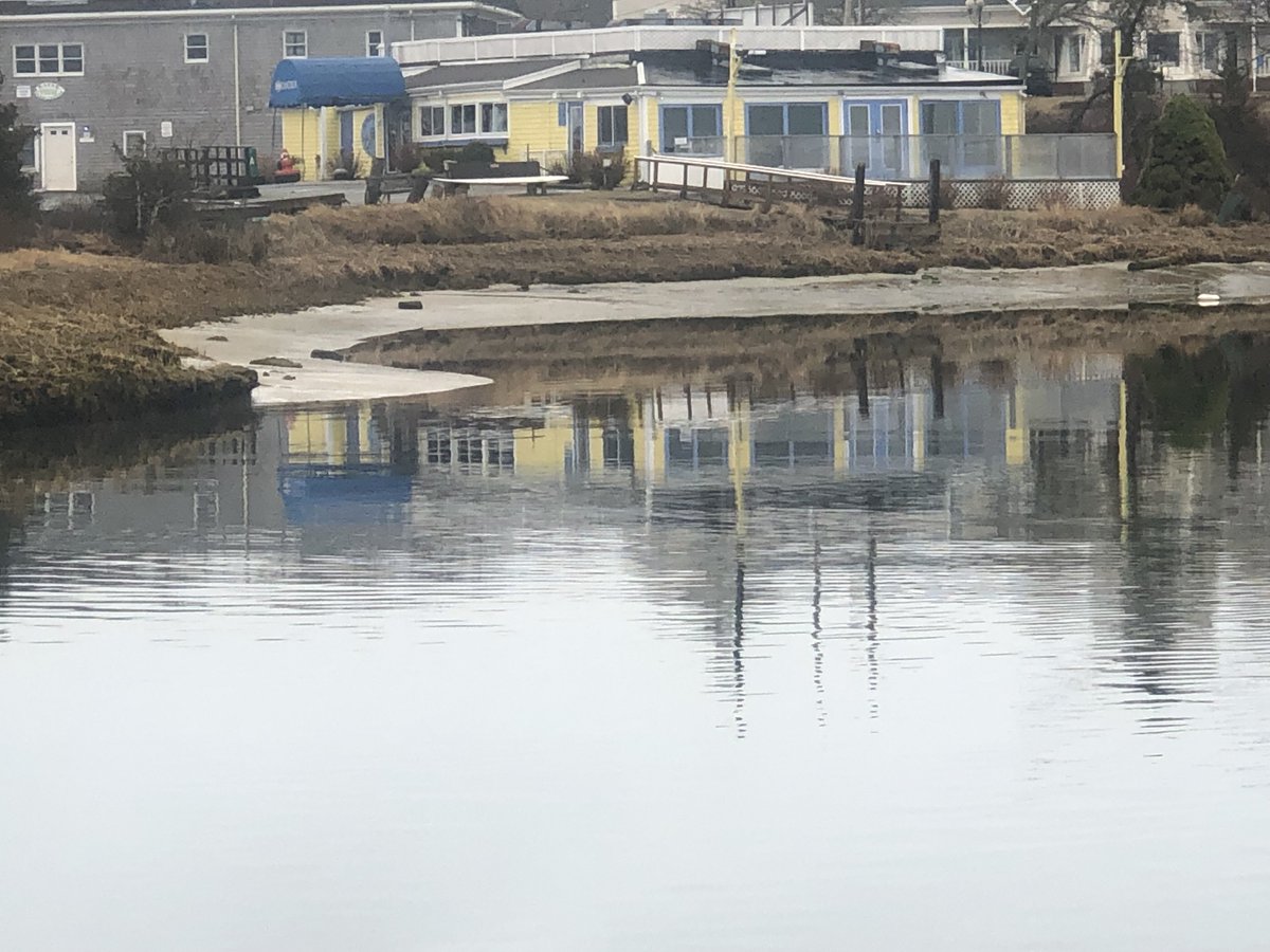 A different perspective on this calm spring morning. Come down for lunch with a view and watch the Ospreys do their thing !!