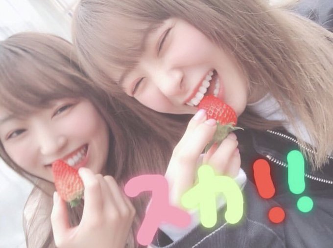 ぽんぽんコンビのtwitterイラスト検索結果