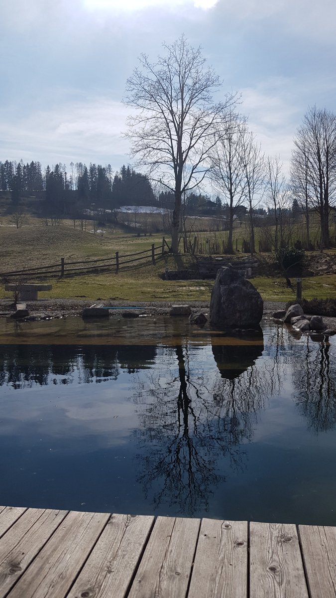 CorneliaSchaef's tweet photo. Einfach mal nix tun und nur genießen ... Schick euch ein paar entspannte, federleichte Glücksgefühle zur freien Entnahme 💝
#Basenfasten #Sommerau #SanktKoloman #Salzburg #Entspannen #Genuss https://t.co/f6S8Cbmyj2