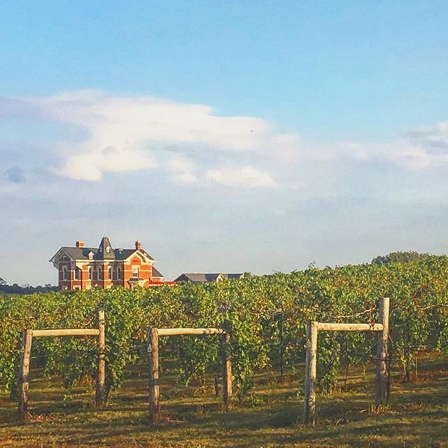 mkulima_online's tweet photo. Reposting @american.farm.odyssey
Found a winery hiding on a back road just in time for the weekend! #midwestwonders
•
•
•
•
•
#purpleteeth #winery #wine #vina #farm #farming #ag #agriculture #grapes #grape #farmhousestyle #adventureawaitsadventure #mkulimaonline #KOT # https://t.co/XIEiDoH5mV