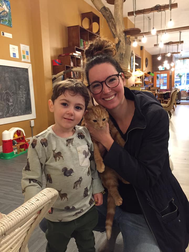 AnimexRefuge's tweet photo. Lucie &amp; Garfield adoptés.!Merci aux adoptants!😻😻😻Lucie &amp; Garfield. Thanks to the adopters!
#AdoptDontShop #Mtlmoments #Caturday #VerduLuv #SHSA #SOmtl #Griffintown #NDG #Mtl #westisland #Beaconsfield #plateaumontroyal #Brossard https://t.co/cKW9uBSqmb