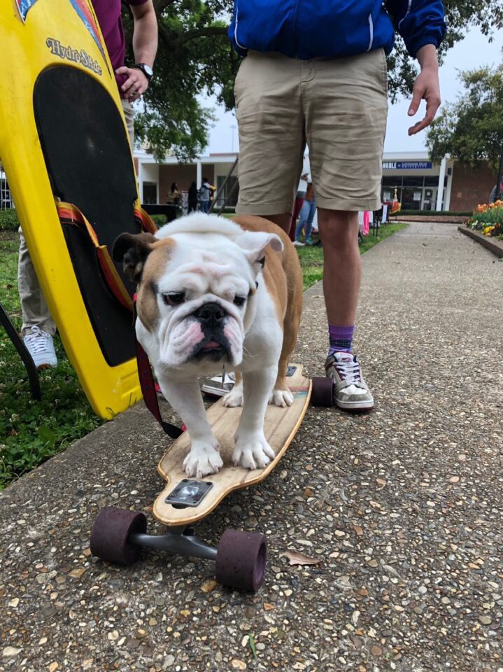 TechXXII's tweet photo. sk8ing my way through @LATech #TimeOutForTech https://t.co/JzjJRvDJ2w