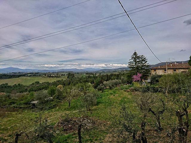 theamazer's tweet photo. #sun #springishere #family #beautiful #picoftheday #springflowers #photooftheday #springtime #spring #flowers #springtimes #springtimevibes #springtimeinnyc #nature #springtimeready #springtimeflowers #springtimelove #springtimefun #springtimeiscoming #s… https://t.co/7Vwev3vTFs https://t.co/fReHIvU1Gb