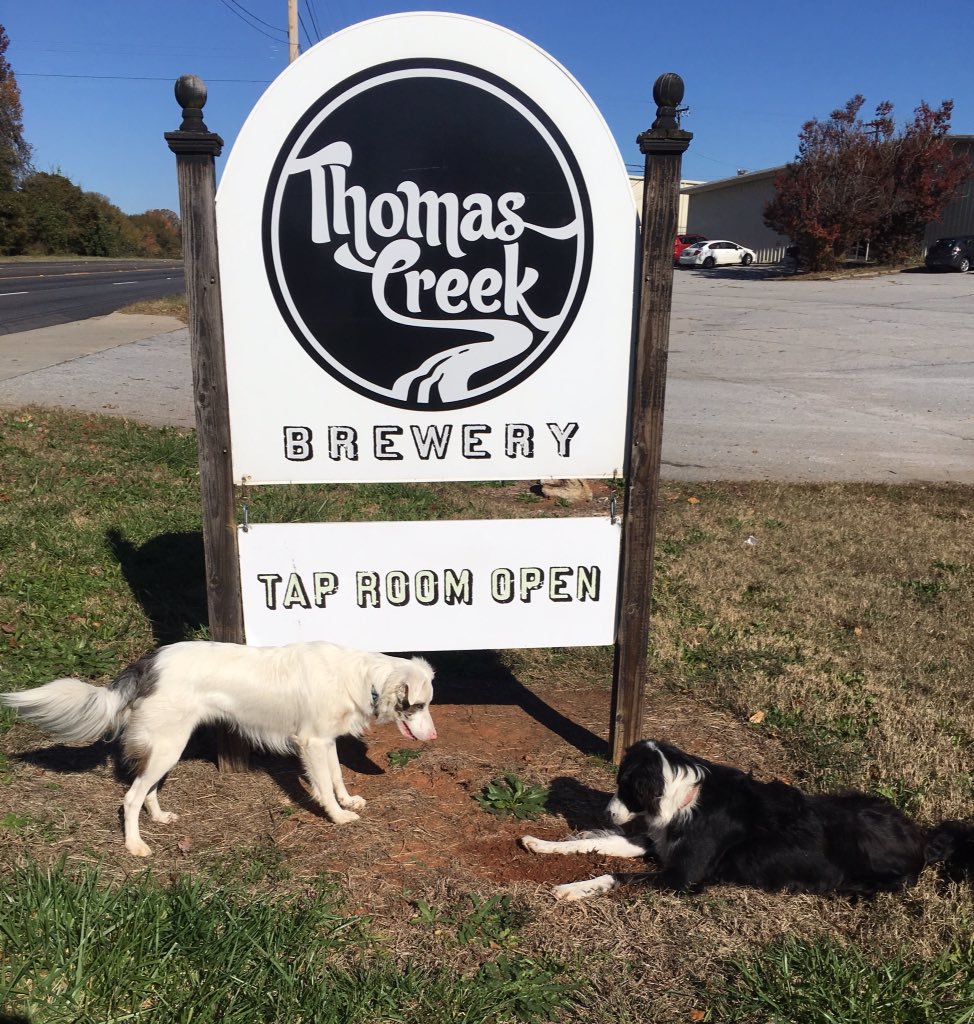 Rise Guys P1 Pilsner tweet media