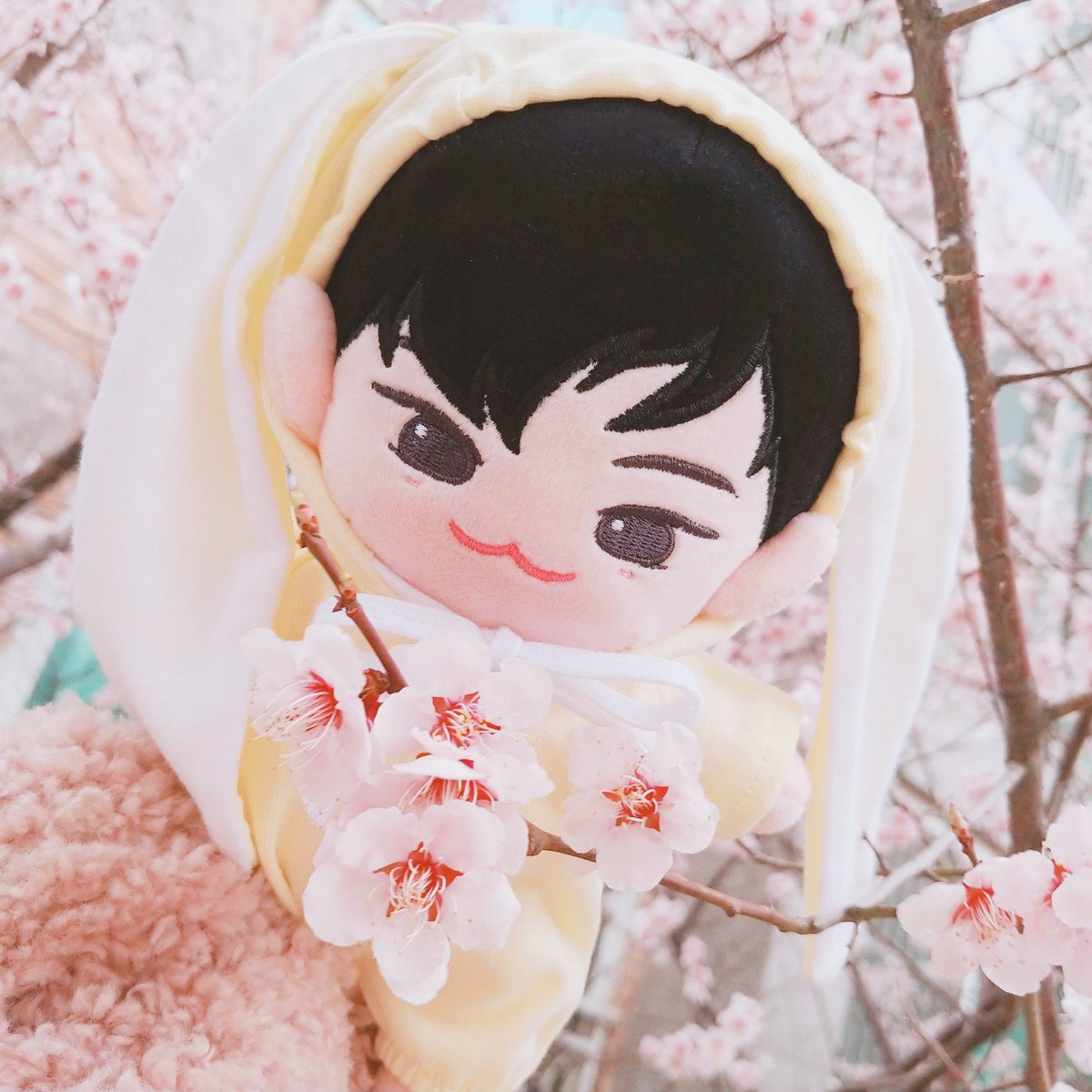 ddo_doll's tweet photo. 우리균뿌 친구랑 사진찍었다🌸🌸
#뿌시래기즈 #균뿌 https://t.co/IeGgBp0u9c