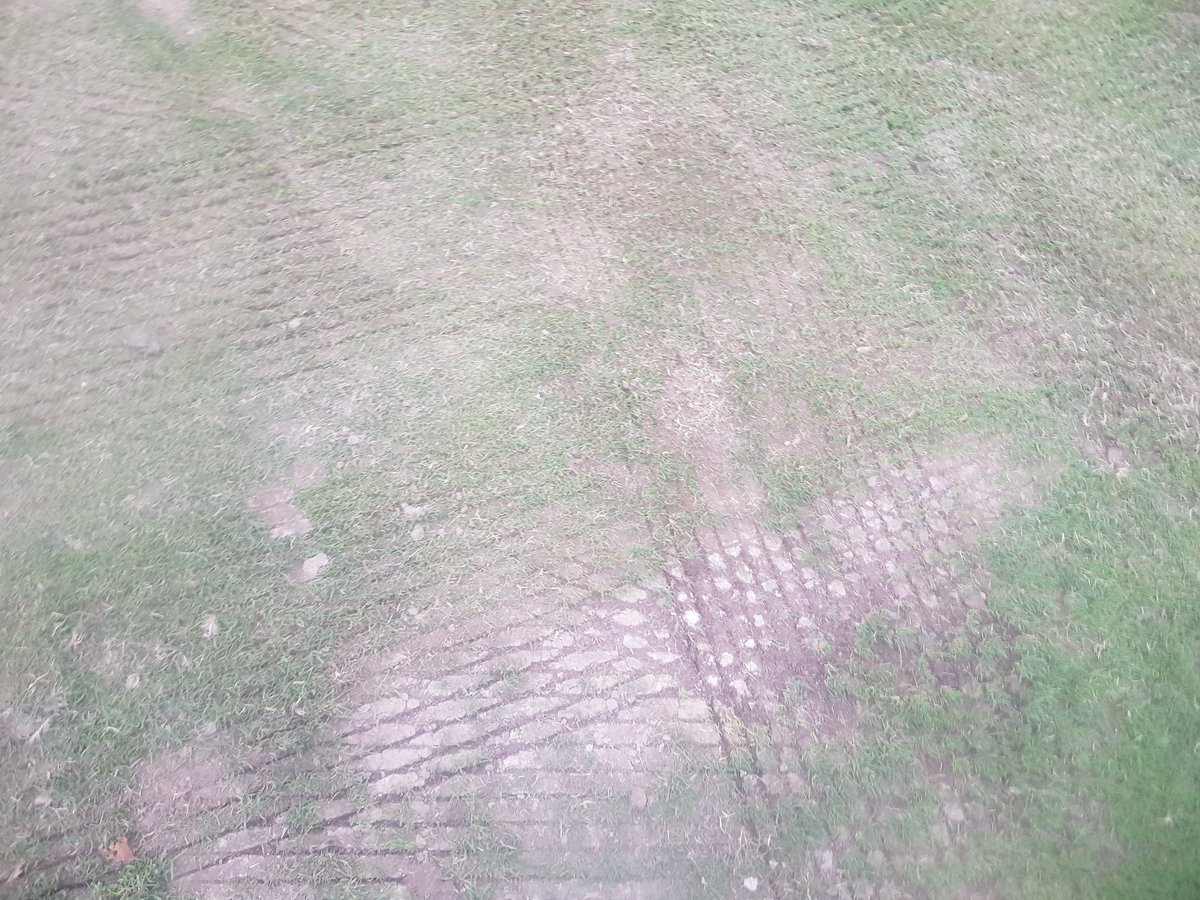 Sportspitchnw's tweet photo. Graden Scarifier April Offer

£100.00 per day
 
The best pedestrian scarifier on the market remove your thatch now and create a perfect seed bed. https://t.co/mNpETP5bup