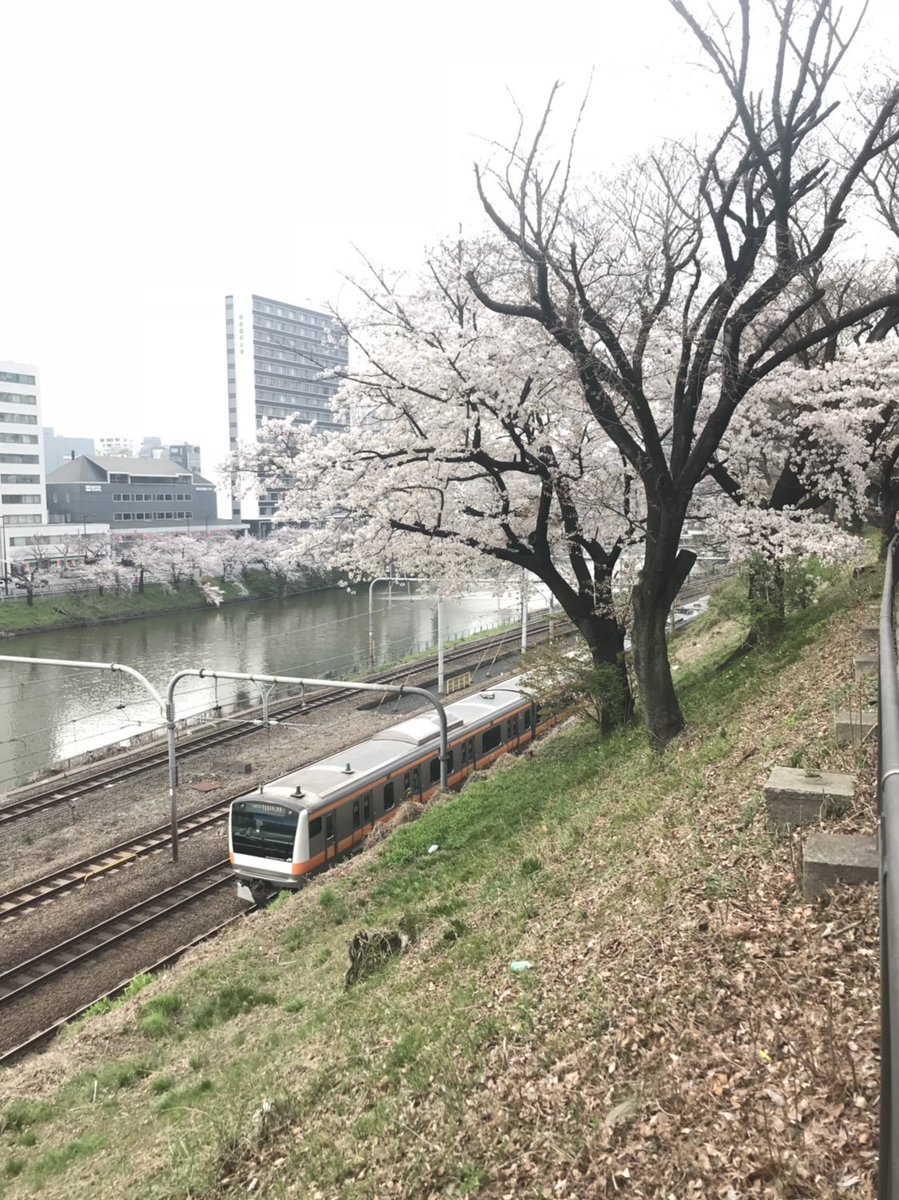 osmtks's tweet photo. #Snapmart #写真素材 #フォトコンテスト #フラワーフォト♫ 「フラワーフォト♫」コンテストに参加してます！ https://t.co/EAhVNvEU7g https://t.co/KlaiPdq92T