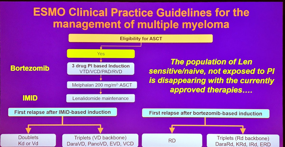 MM_Hub's tweet photo. #ESHMM19 Francesca Gay, @unito: non-aggressive relapse following auto-SCT and lenalidomide maintenance #multiplemyeloma #mmsm #myeloma https://t.co/jZsCn6n6FM