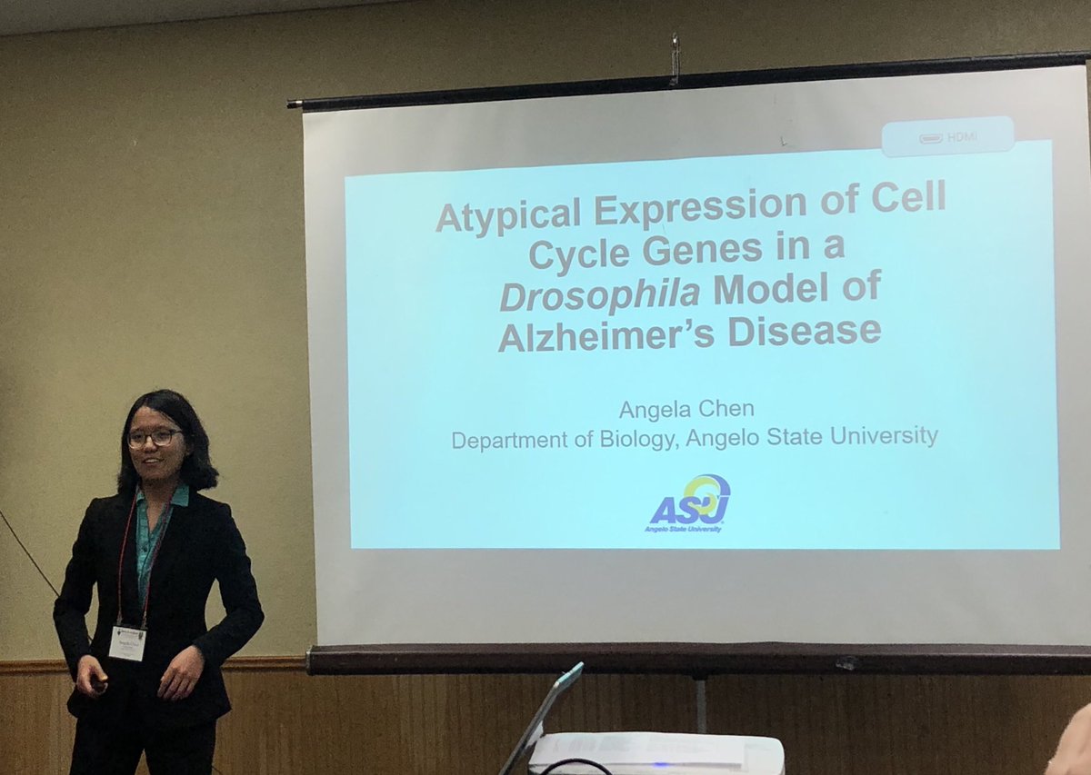 CarlaEbeling's tweet photo. Great explanation from Angela Chen of “Atypical expression of cell cycle genes in a Drosophila model for Alzheimer’s disease” @AsuTribeta #RamFam #BetaBetaBeta 2019 Southcentral Regional Convention https://t.co/S8eoQNOXSS