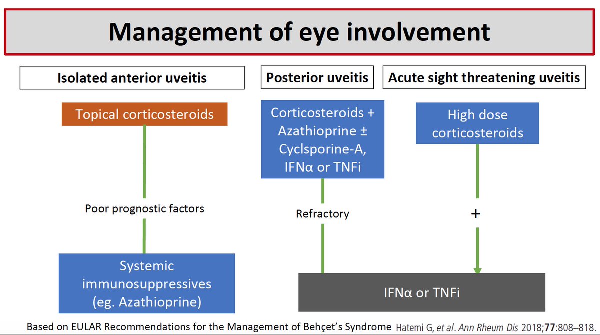 vasculitides's tweet photo. Gulen Hatemi: Management of eye involvement in Behcet's syndrome.  #vasculitis2019 https://t.co/zbV6KER0Do