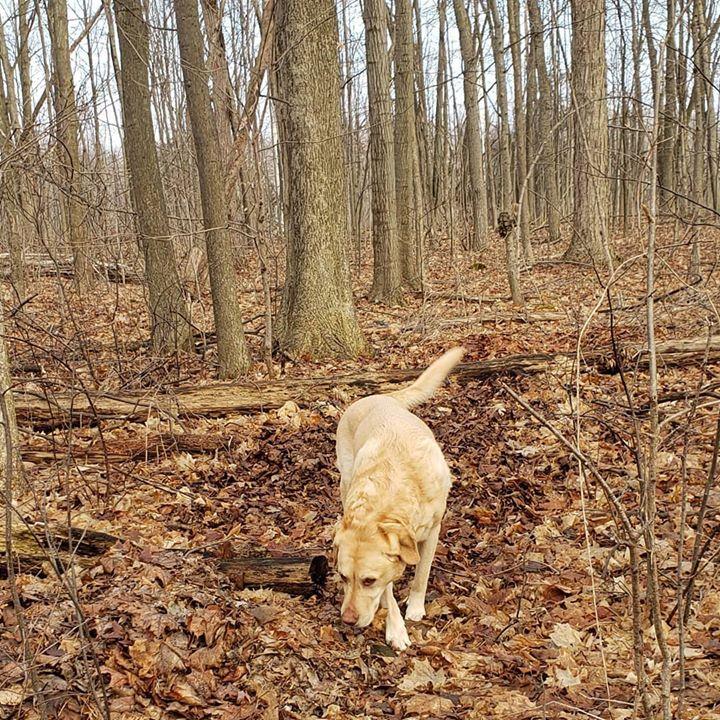 DefinePlanet's tweet photo. Happy Saturday everyone, it going to be beautiful today, get out and enjoy the sun! #sun 
..
..
#recycle #pupfluencer #dogscorner #doggiveaway #dogmom #bloggerlife #moderndog #giveaway #giveaways #thankyou #petparent #define_planet #compostable #veggie #corn #sustainability … https://t.co/ftF5f7biyy