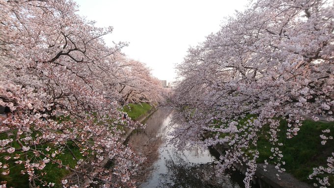 Neqz8y5 Mmft4k9vgtl6さん の最近のツイート 3 Whotwi グラフィカルtwitter分析