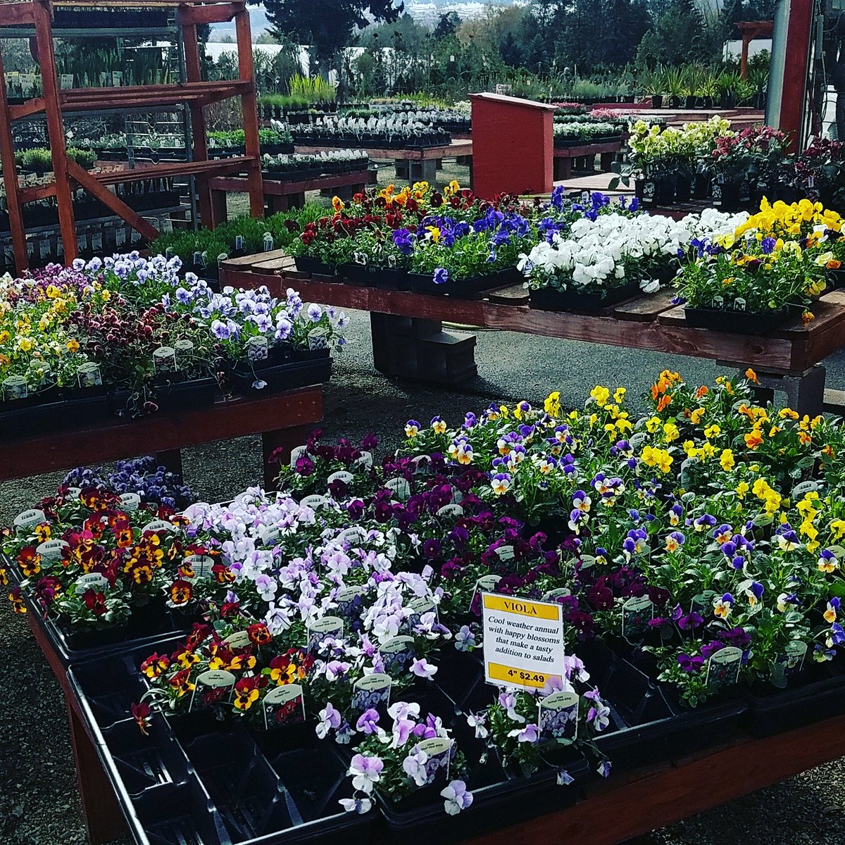VeganMoonbug's tweet photo. So excited for spring https://t.co/jw7152n4TX