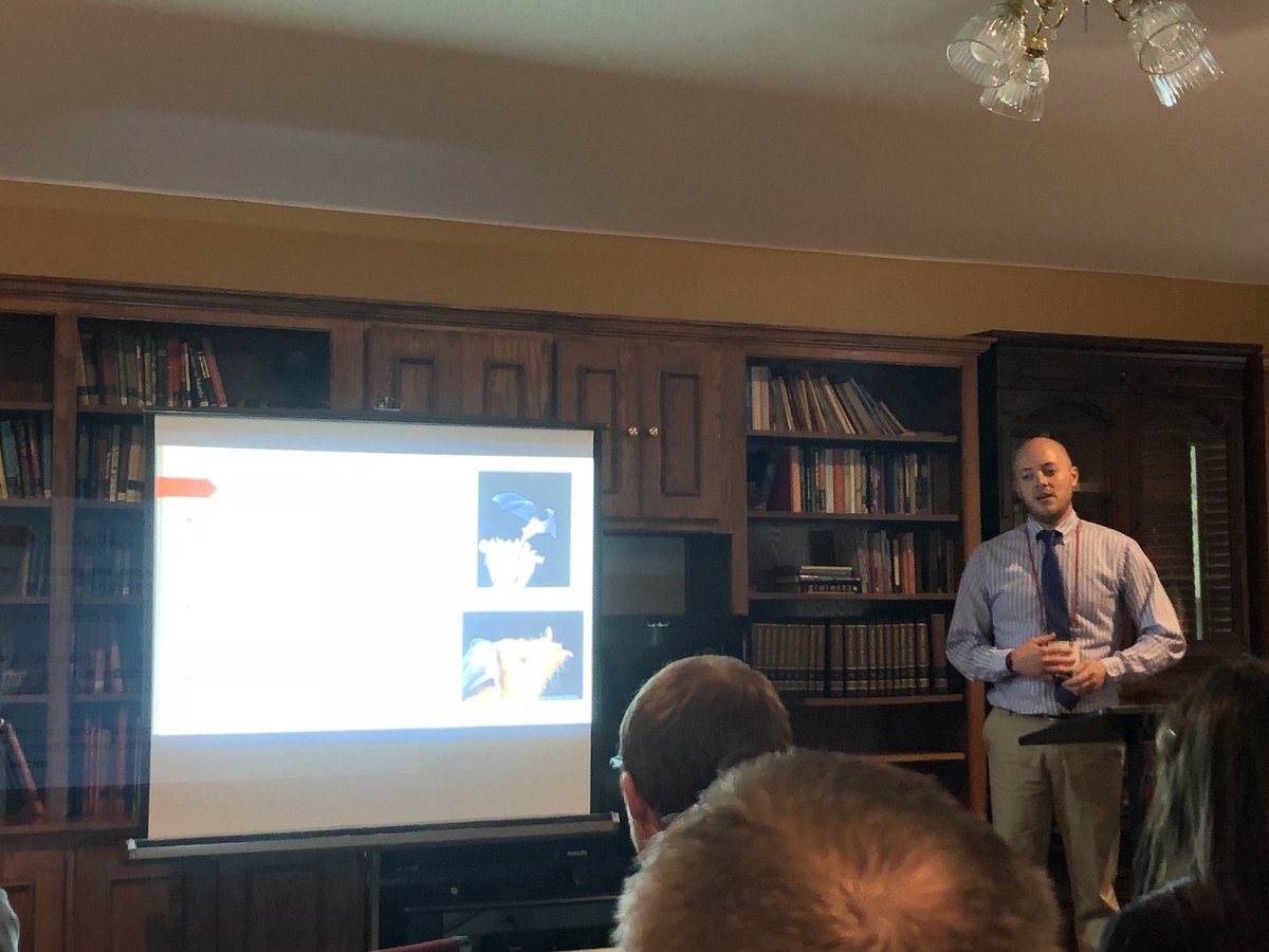 CarlaEbeling's tweet photo. Endangered bat pollinates Agave. Agave makes tequila. Conservation matters. Brent Wesley explains the importance of pollen identification in Big Bend. @AsuTribeta #RamFam #BetaBetaBeta Southcentral Regional Convention https://t.co/dYH21TAwvH