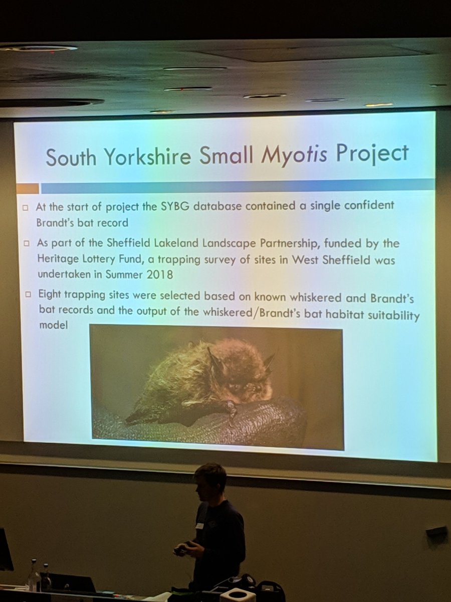 _BCT_'s tweet photo. South Yorkshire Bat Group have been doing research on the distribution of Myotis bats in South Yorkshire #NorthBatConf https://t.co/jT4jInRWDn