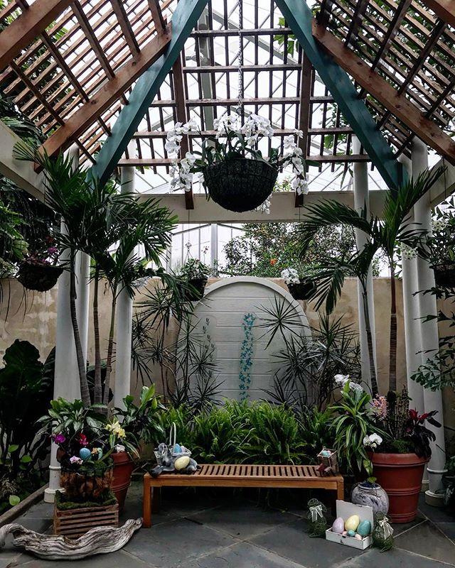 PhotosbyJeni's tweet photo. What a beautiful vignette for today’s spring portraits at @danielstowebotanicalgarden Stop by today &amp; tomorrow 11-3. There’s so much to do at Peter Rabbit’s Adventure https://t.co/9dJ6nJyDsz https://t.co/CPdrkR0YGr