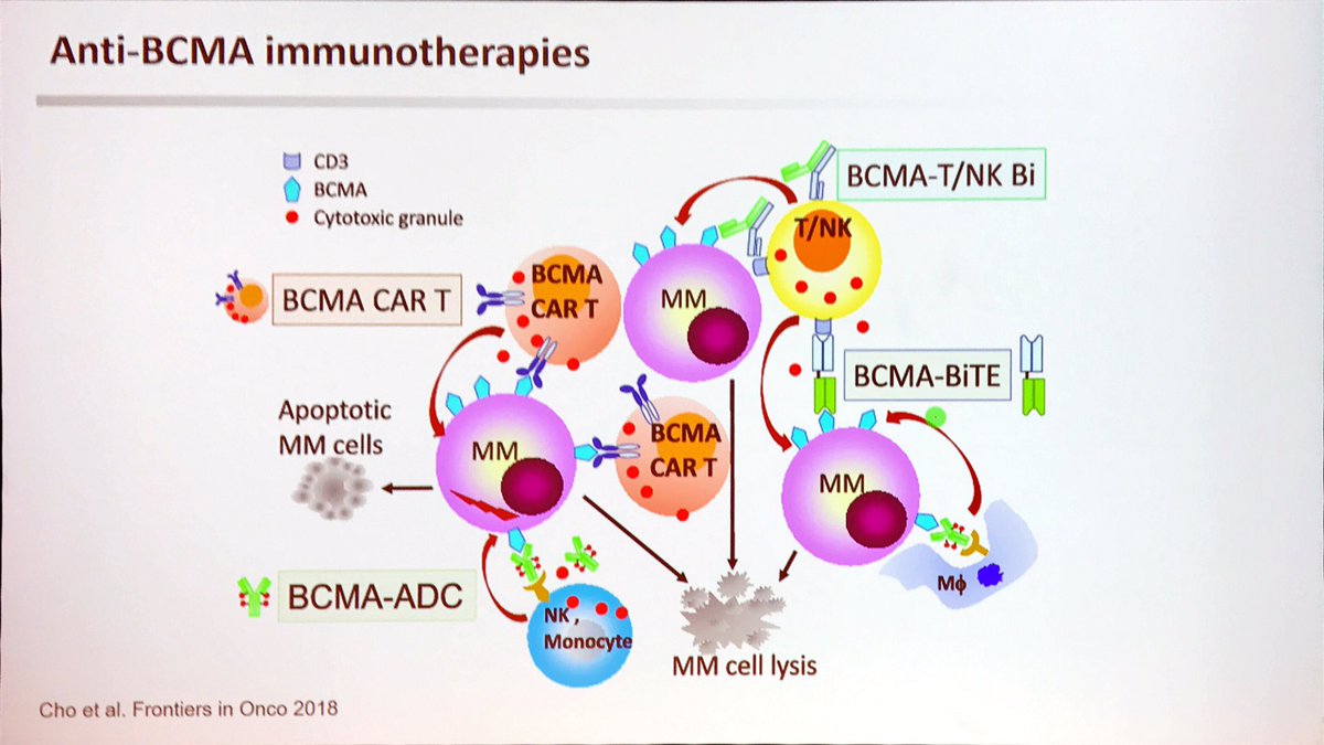 MM_Hub's tweet photo. #ESHMM19 Salomon Manier, @CHU_Lille, discussed management of PI and IMiD refractory disease in #multiplemyeloma #mmsm #myeloma https://t.co/qfh01pkWFL