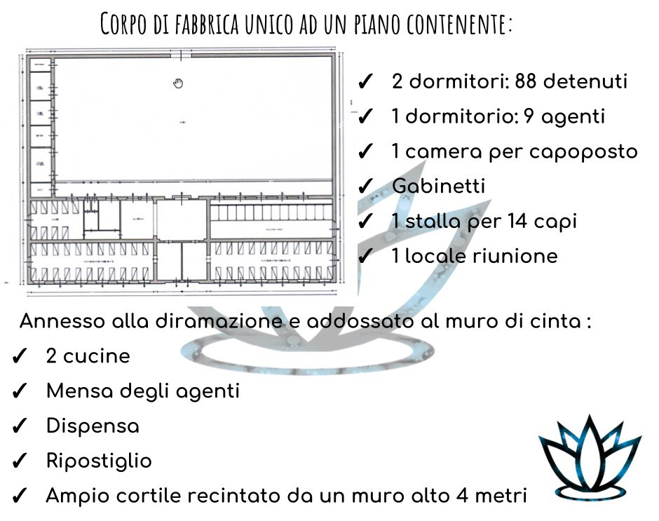 Baia delle Ninfee tweet media