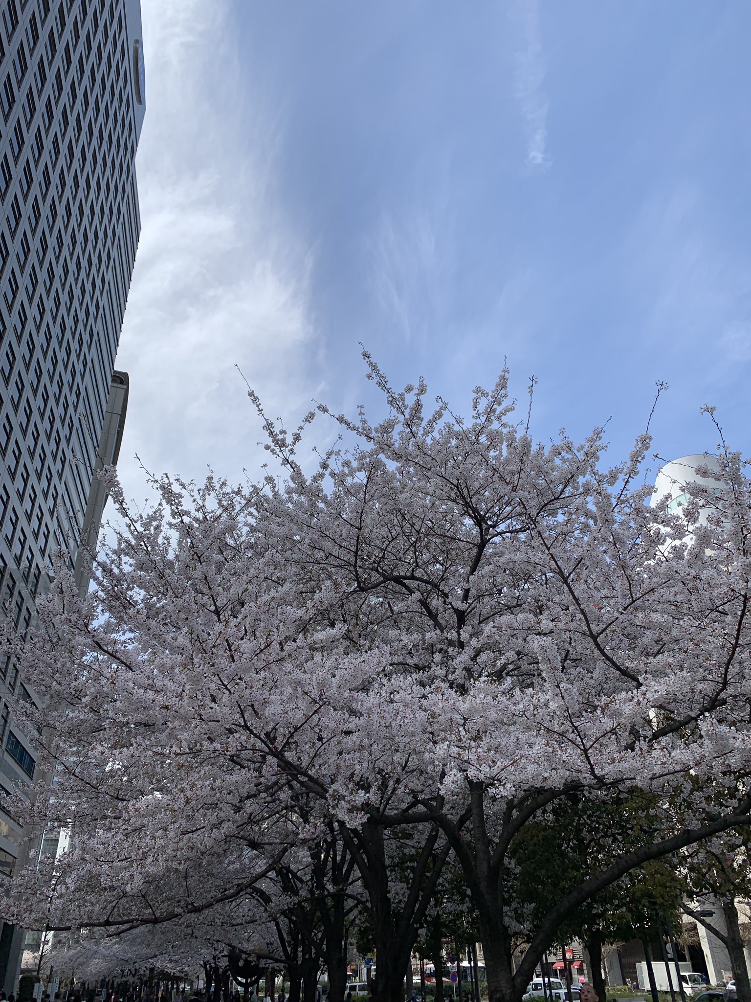 新宿マインズタワー Twitter Search Twitter