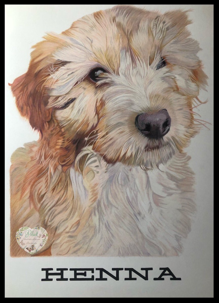 DiDi ( POLart) (@didi83178099) on Twitter photo 