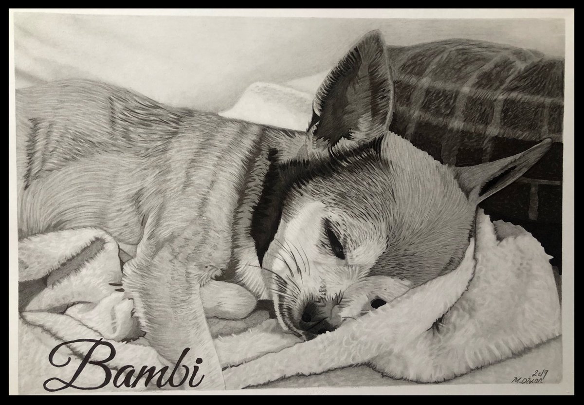 DiDi ( POLart) (@didi83178099) on Twitter photo 