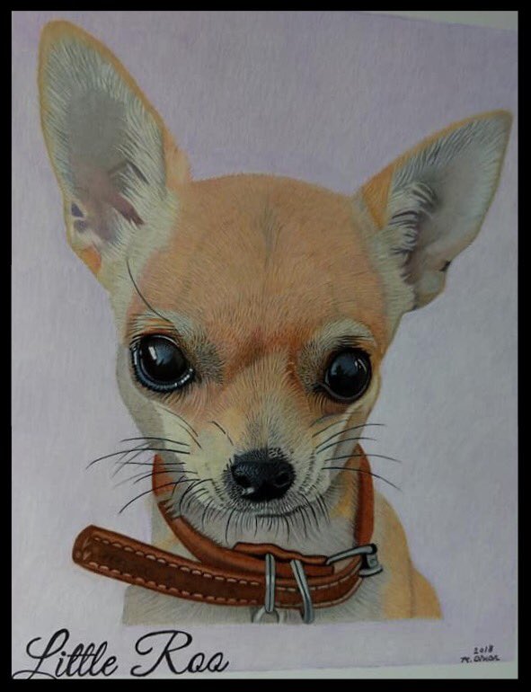 DiDi ( POLart) (@didi83178099) on Twitter photo 